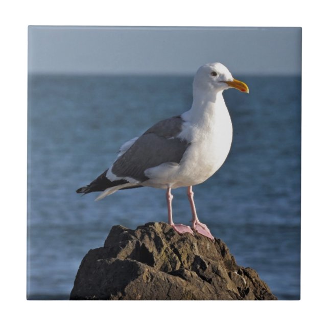White seagull and ocean tile (Front)
