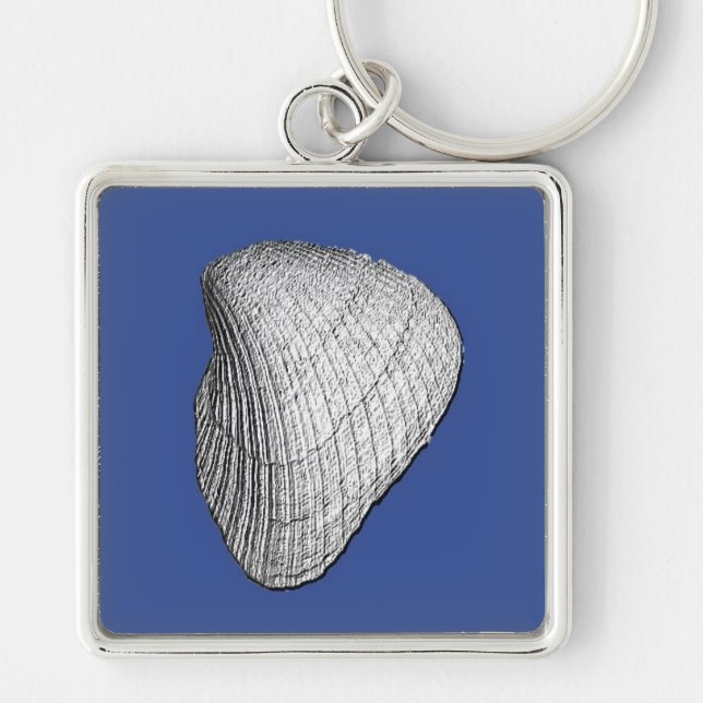 White Seashell Key Ring (Front)