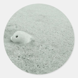 White Seashell On White Sandy beach Classic Round Sticker