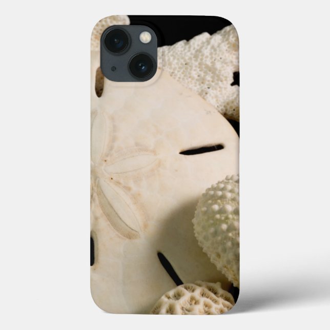 White Seashells And Sand Dollar Case-Mate iPhone Case (Back)