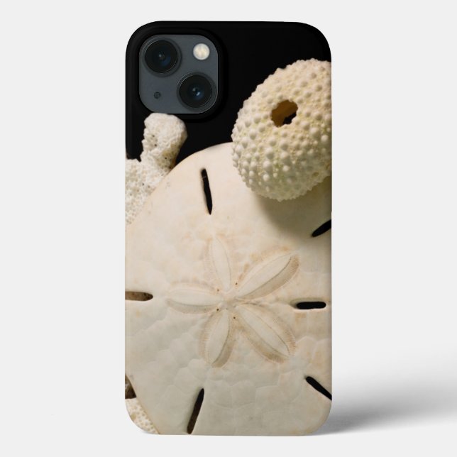 White Seashells And Sand Dollar Case-Mate iPhone Case (Back)