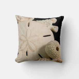 White Seashells And Sand Dollar Cushion