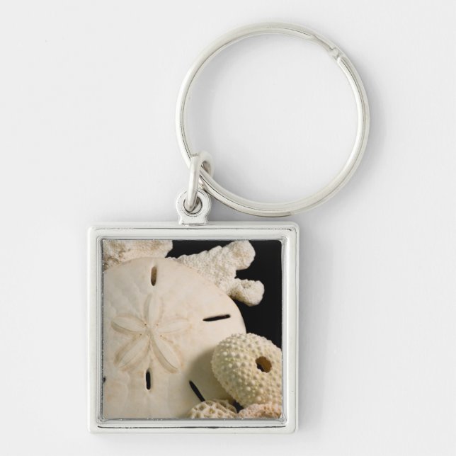 White Seashells And Sand Dollar Key Ring (Front)