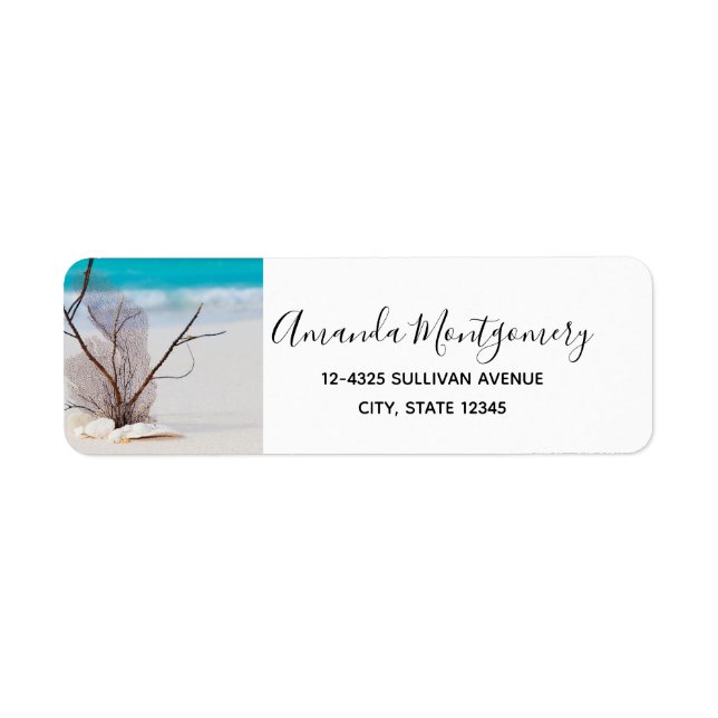 White Seashells on a Tropical Beach (Front)