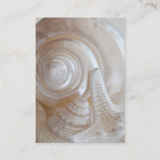 White Seashells Starfish Tropical Beach Sea Shells Business Card