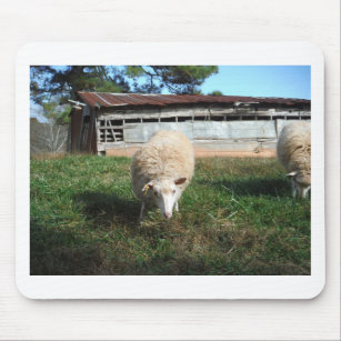 White Sheep on the Farm Mouse Mat