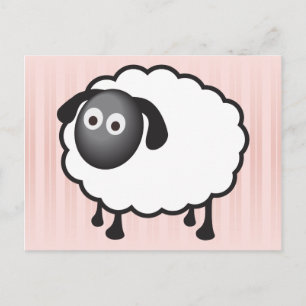 White Sheep Postcard