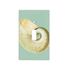 White Shell on Seafoam Mint Green