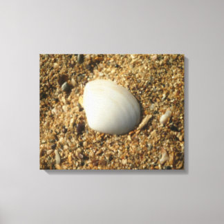 White Shell on the Beach Canvas Print