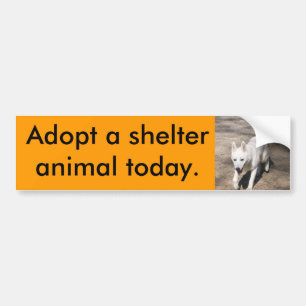 White Shepherd Bumper Sticker
