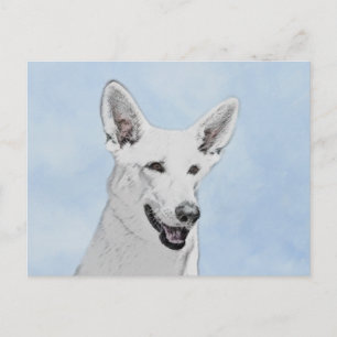 White Shepherd Painting - Cute Original Dog Art Postcard