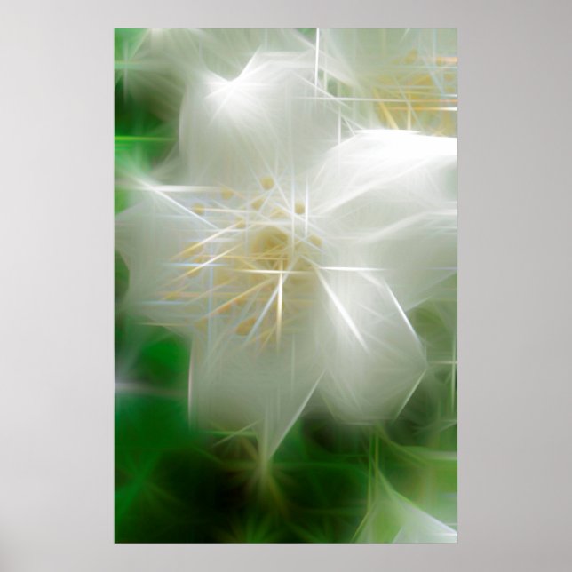 White Shiny Jasmine Poster (Front)