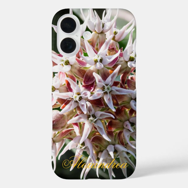 White Showy Milkweed – Nature Photography Case-Mate iPhone Case (Back)