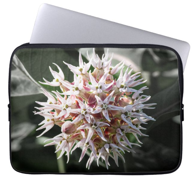 White Showy Milkweed, Wildflower Photography Laptop Sleeve (Front)