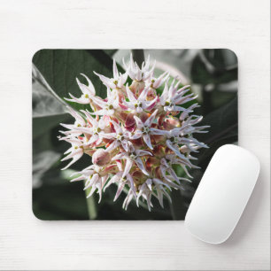 White Showy Milkweed, Wildflower Photography Mouse Mat