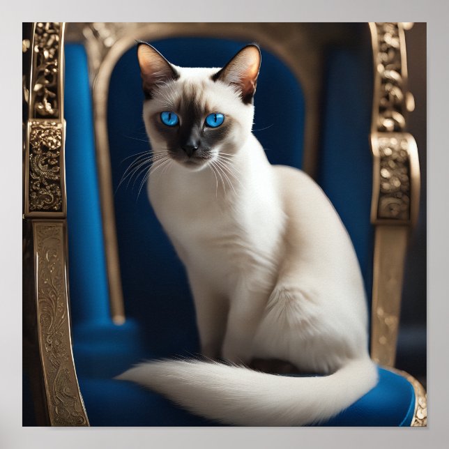 White Siamese Cat  Poster (Front)