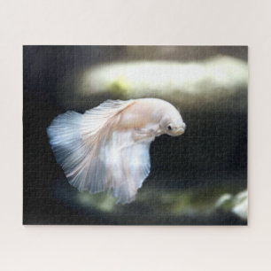 White Siamese Fighting Fish Jigsaw Puzzle