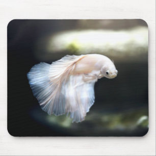 White Siamese Fighting Fish Mouse Mat