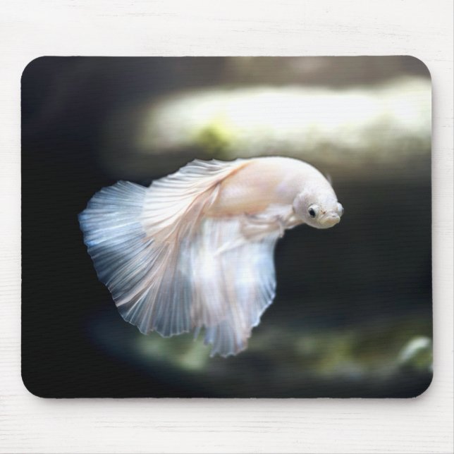 White Siamese Fighting Fish Mouse Mat (Front)