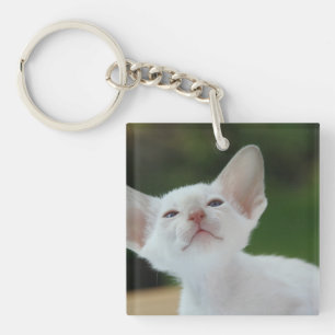 White Siamese kitten Key Ring