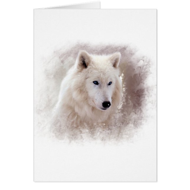 WHITE SIBERIAN HUSKY. (Front)