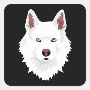 White Siberian Husky Canine - White Snow Dog Square Sticker