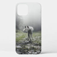White Siberian Husky