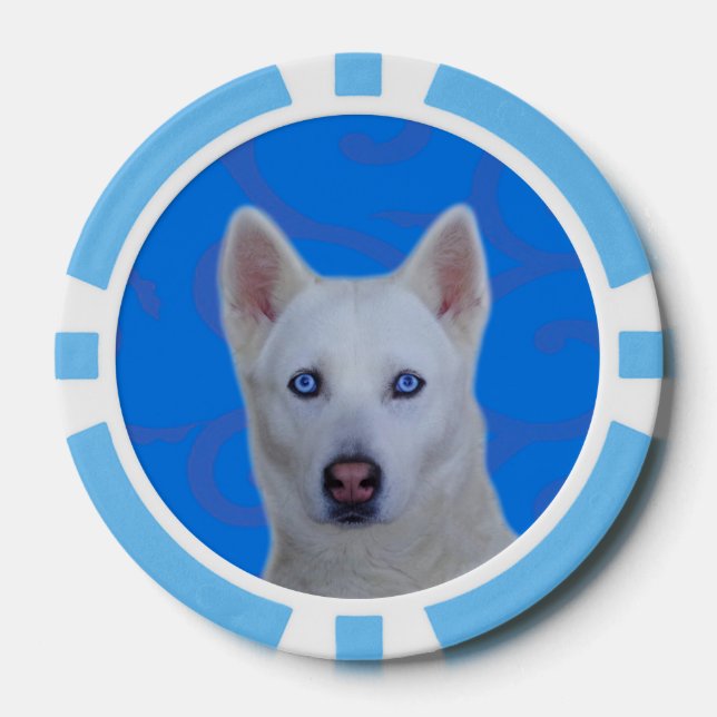 White Siberian Husky Clay Poker Chips, Blue Stripe Poker Chips (Front)