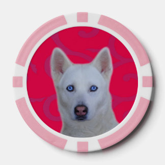 White Siberian Husky Clay Poker Chips, Pink Stripe Chips