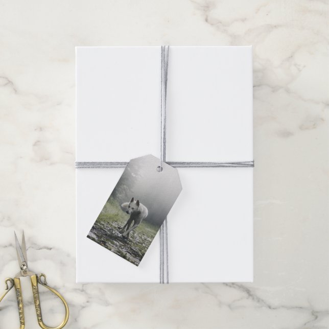 White Siberian Husky Gift Tags (With Twine)