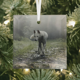 White Siberian Husky Glass Tree Decoration