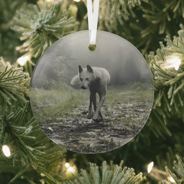 White Siberian Husky Glass Tree Decoration (Insitu)