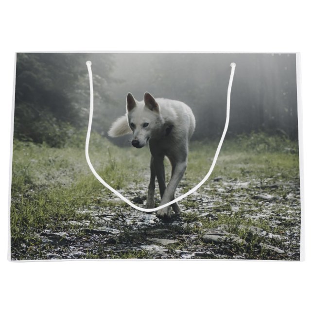 White Siberian Husky Large Gift Bag (Front)