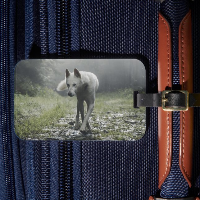 White Siberian Husky Luggage Tag (Front Insitu 4)