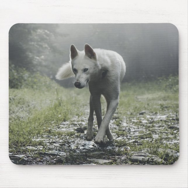White Siberian Husky Mouse Mat (Front)