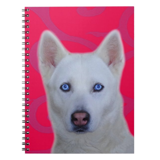 White Siberian Husky Notebook (Front)