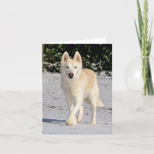 White Siberian husky notecard (Front)