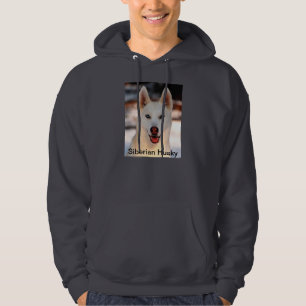 White Siberian Husky on hoodie sweatshirt