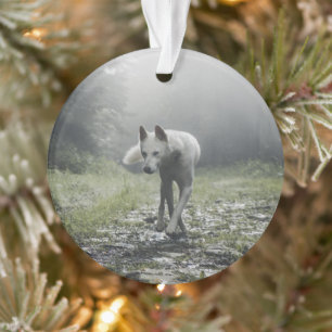White Siberian Husky Ornament