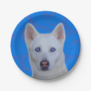 White Siberian Husky Paper Plate