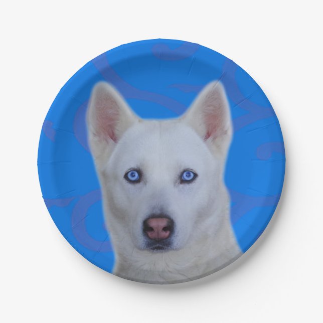White Siberian Husky Paper Plate (Front)
