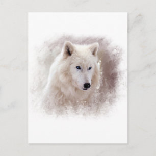 WHITE SIBERIAN HUSKY. POSTCARD