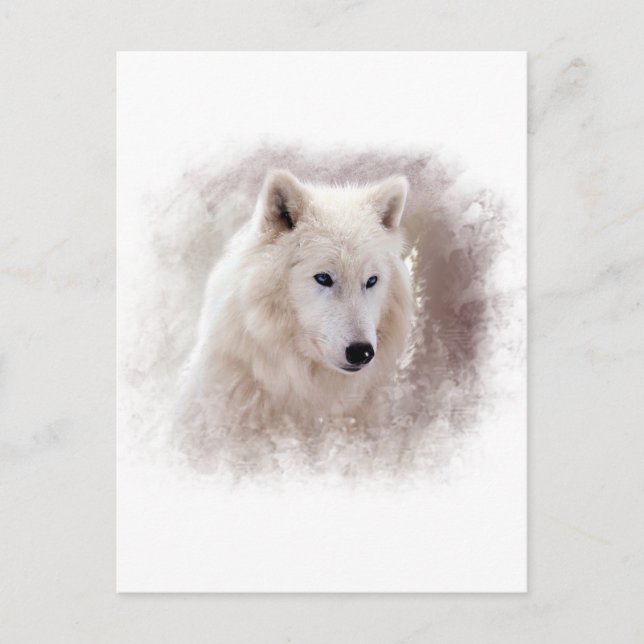 WHITE SIBERIAN HUSKY. POSTCARD (Front)
