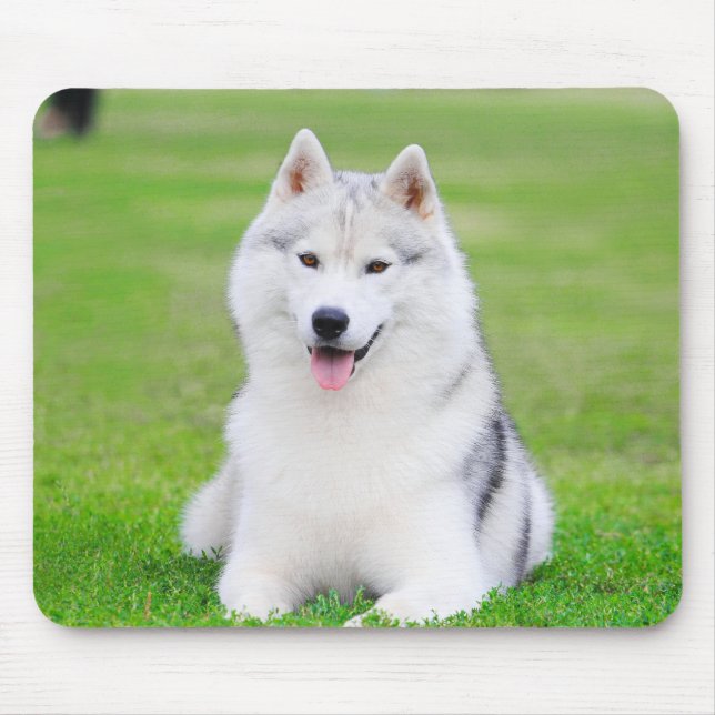 White Siberian Husky Puppy on Green Grass Field Mouse Mat (Front)