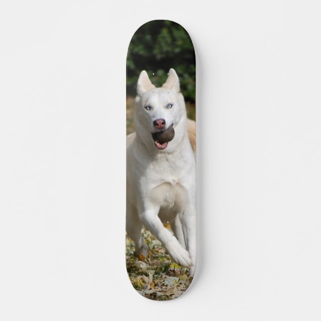 White Siberian husky skateboard (Front)