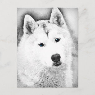 White Siberian Husky w/ Blue Eyes Fine Art Sketch Postcard