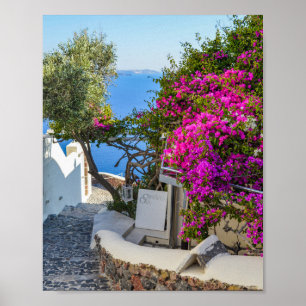White Signage Beside Purple Bougainvillea Poster