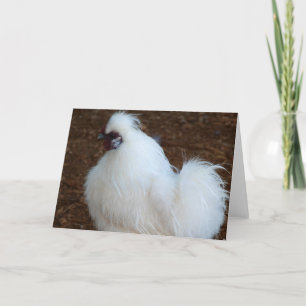 White Silkie Chicken Card