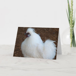 White Silkie Chicken Card