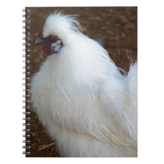 White Silkie Chicken Notebook